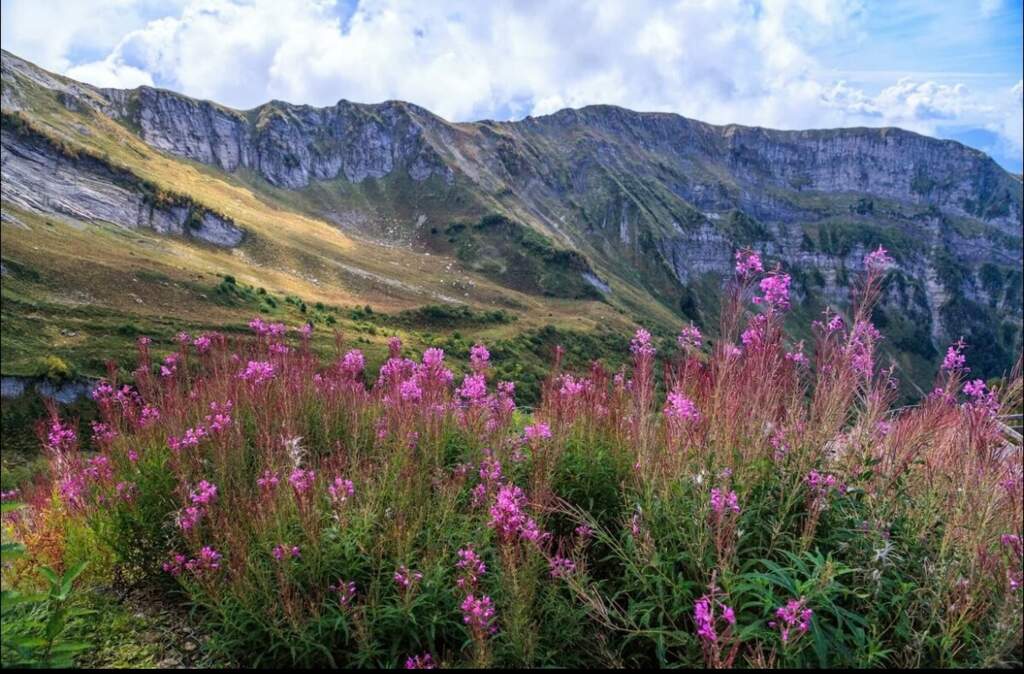 Сочи+Абхазия «Перезагрузка в горах» - фото