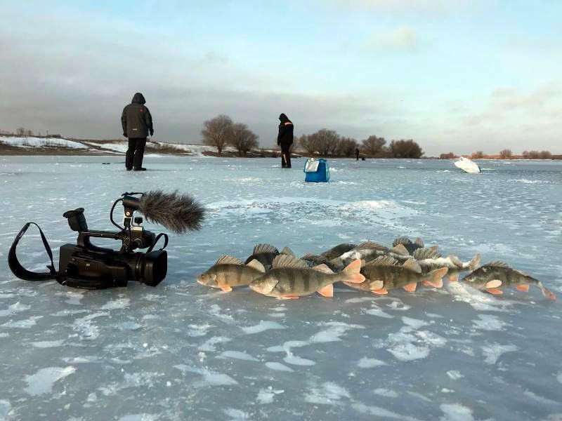 Рыбалка в барыбино русфишинг