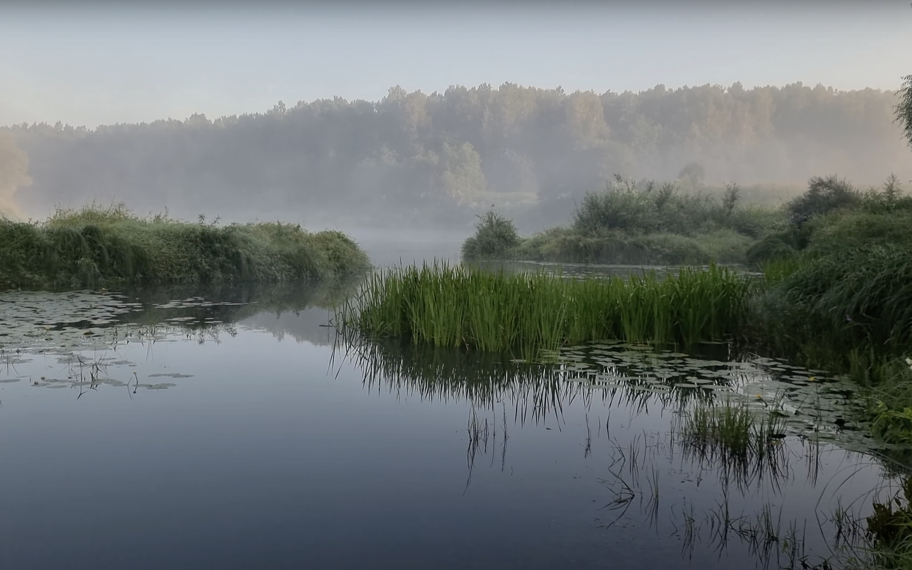 Сплав по реке Угра - фото