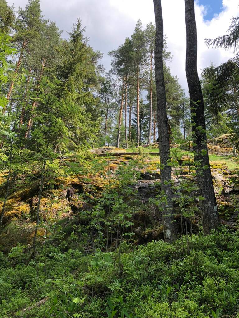 К ястребиному озеру через скалу Горелая - фото