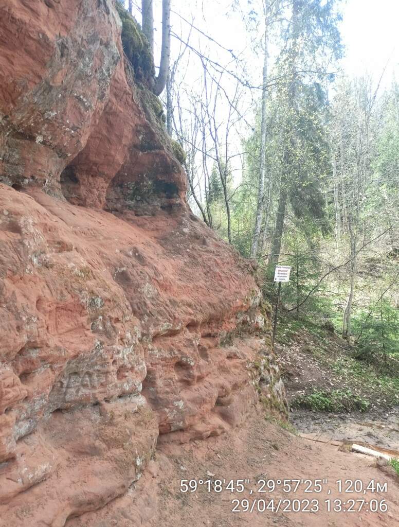 Парк усадьбы Рождествено - фото