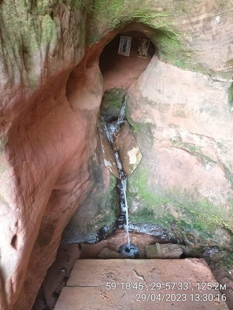 Парк усадьбы Рождествено - фото