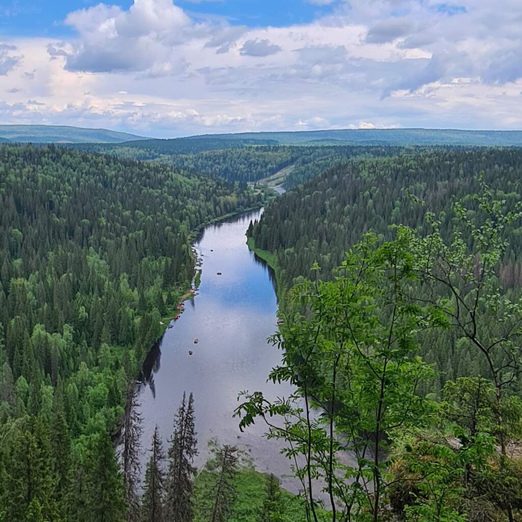 Парма пермский край