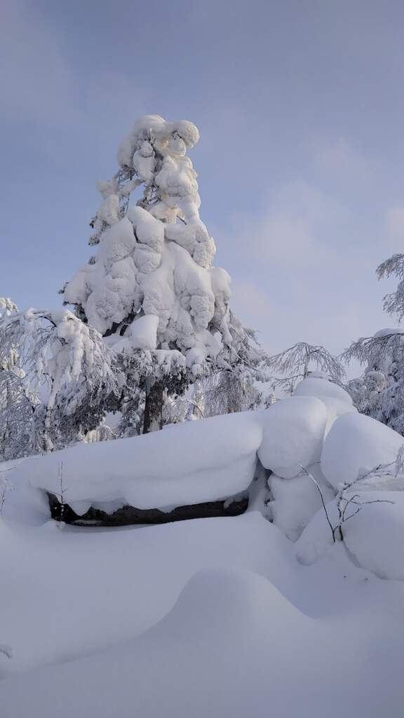 НОВОГОДНИЕ КАНИКУЛЫ В ПЕРМСКОМ КРАЕ. УСЬВИНСКИЕ СТОЛБЫ, КАМЕННЫЙ ГОРОД. - фото