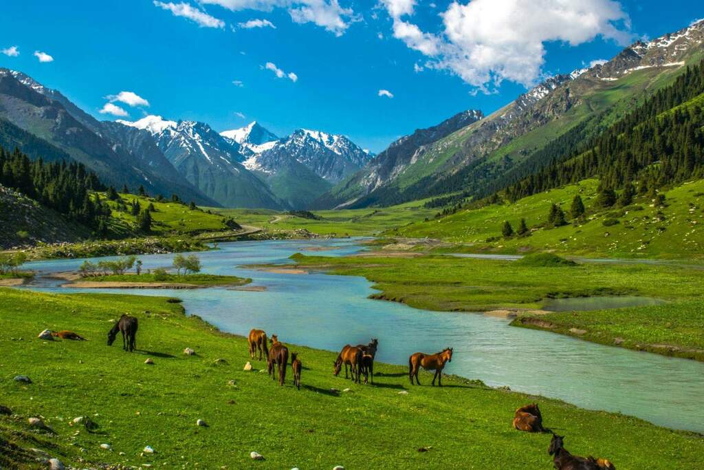 Пеший поход по горам Тянь-Шаня с палатками - фото