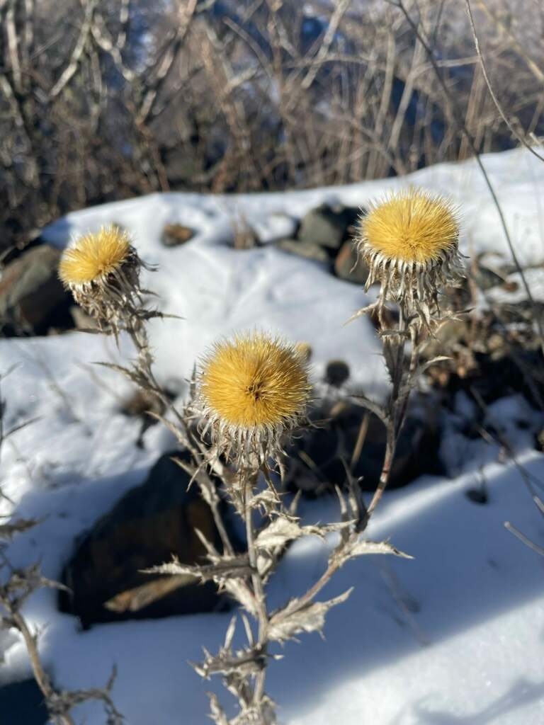 Weekend на Кавказе - фото