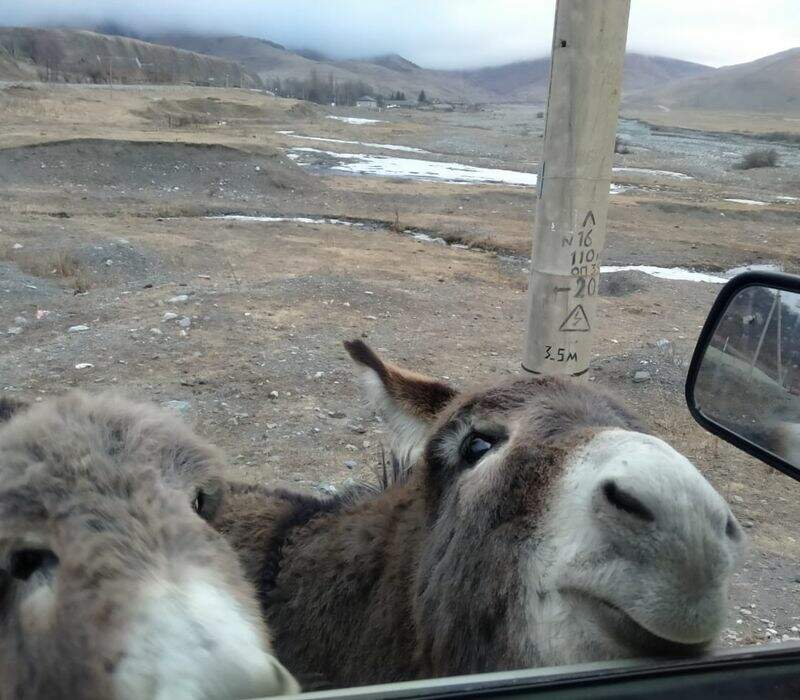 Джип-тур 3 дня в горах - фото