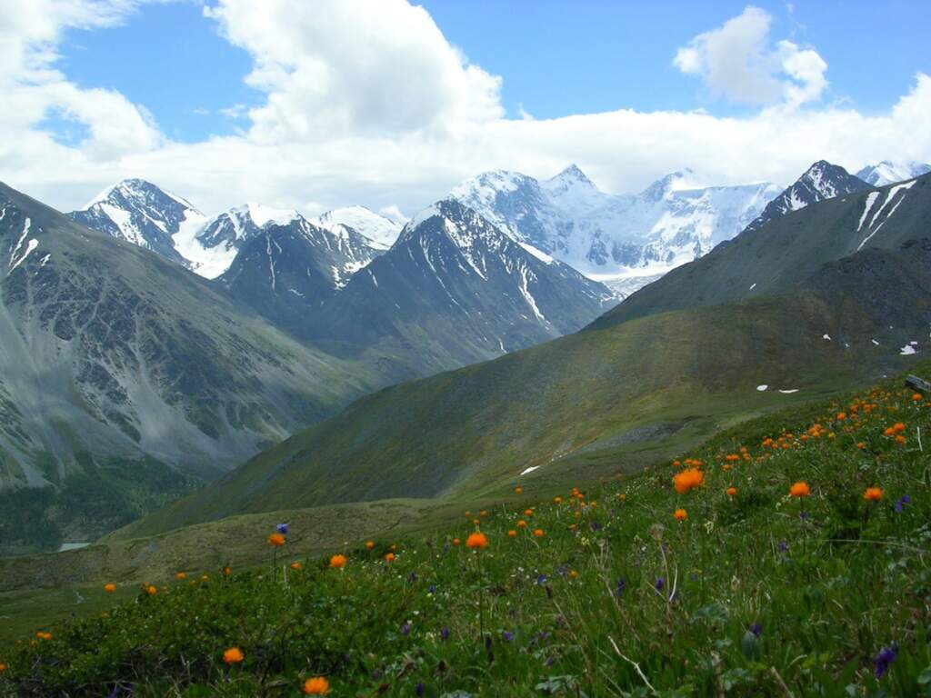 Поход к подножию Белухи (Алтай) - фото