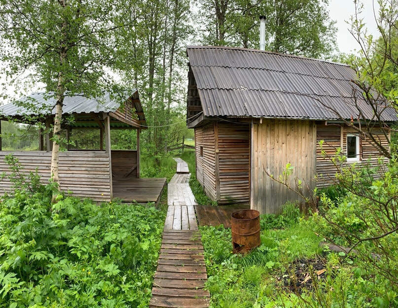 Дорога к турбазе "Звезда". Главный Уральский хребет. - фото