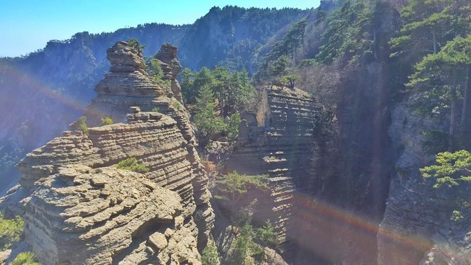 Таракташ каменный гребень