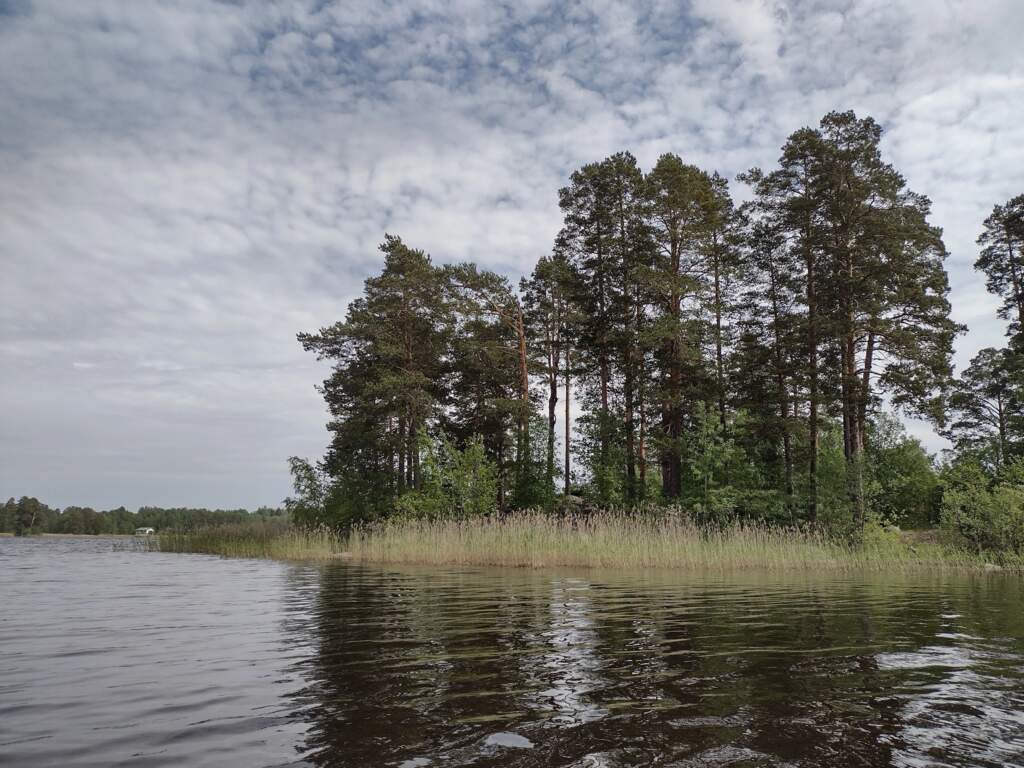 Приозерск - Мельничный остров - Тихий остров - Приозерск - фото