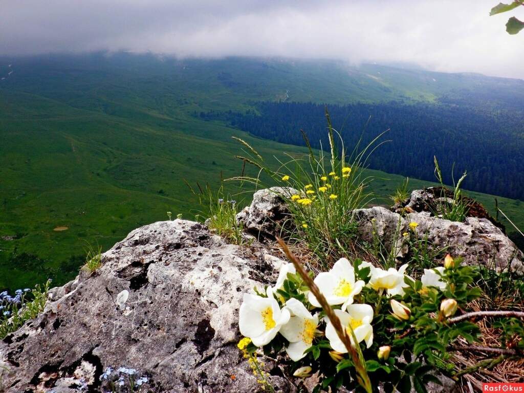 Плато Лагонаки март