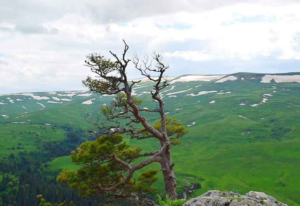 "Водная Ривьера" лайт - тур на 6 дней, отдых + купание + экскурсии, Адыгея - фото