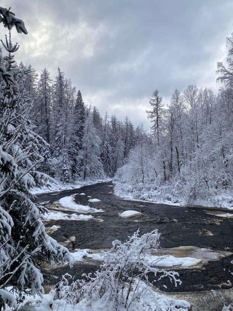 Линдуловская роща зимой - фото