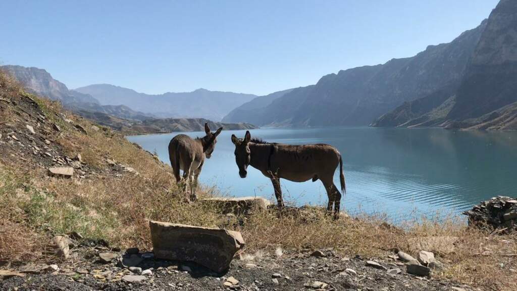 Выходные в Дагестане: иммерсивный тур, 3 дня - фото