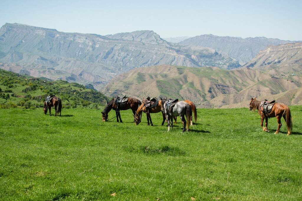 В гостях у горцев Дагестана - фото