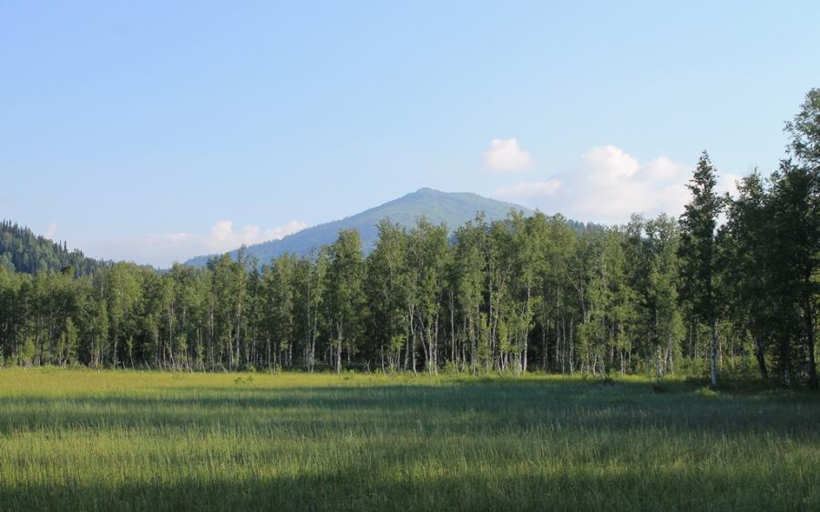 Загадки горы Соловей - фото