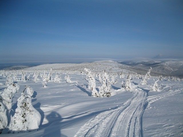 Снегоходный маршрут «Заповедные дали» - фото