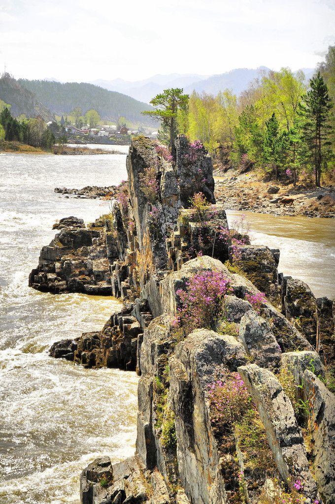 Конно-экскурсионный тур «Алтайские-Майские» - фото