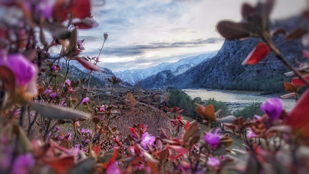 Конно-экскурсионный тур «Алтайские-Майские» - фото