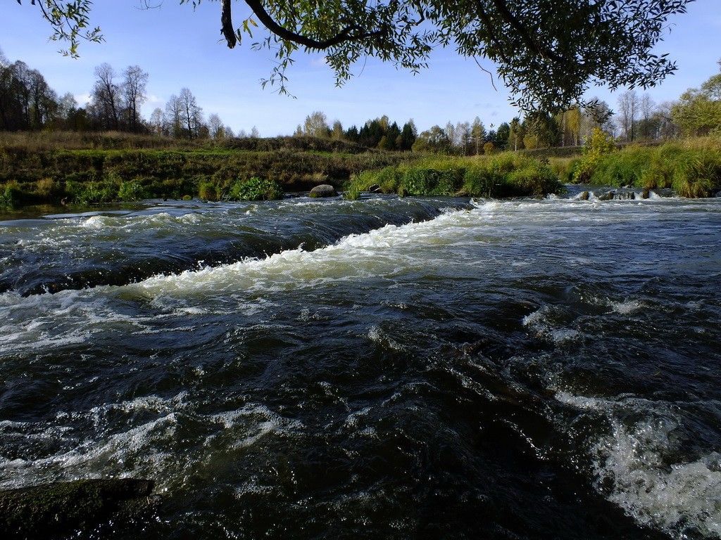 Река которосли