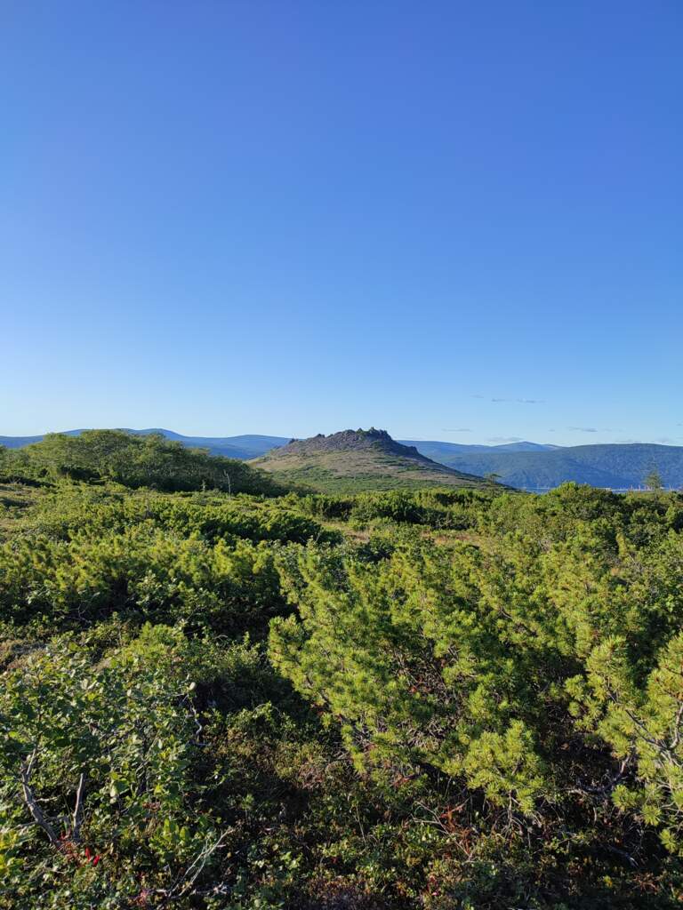 Каменный венец - фото