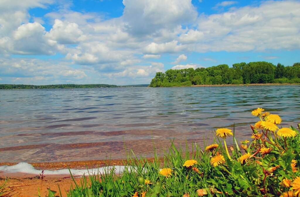 Веломаршрут вдоль озера Сенеж - фото