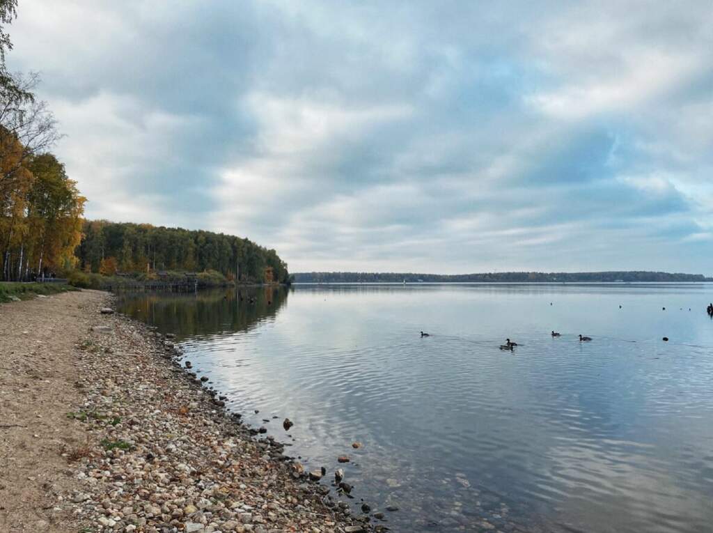 Веломаршрут вдоль озера Сенеж - фото