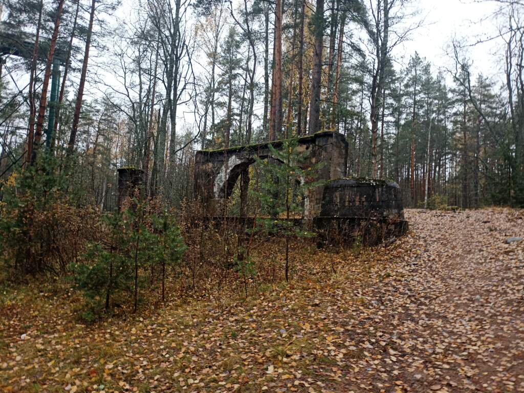 Прогулка ст.Ушково- ст.Рощино - фото