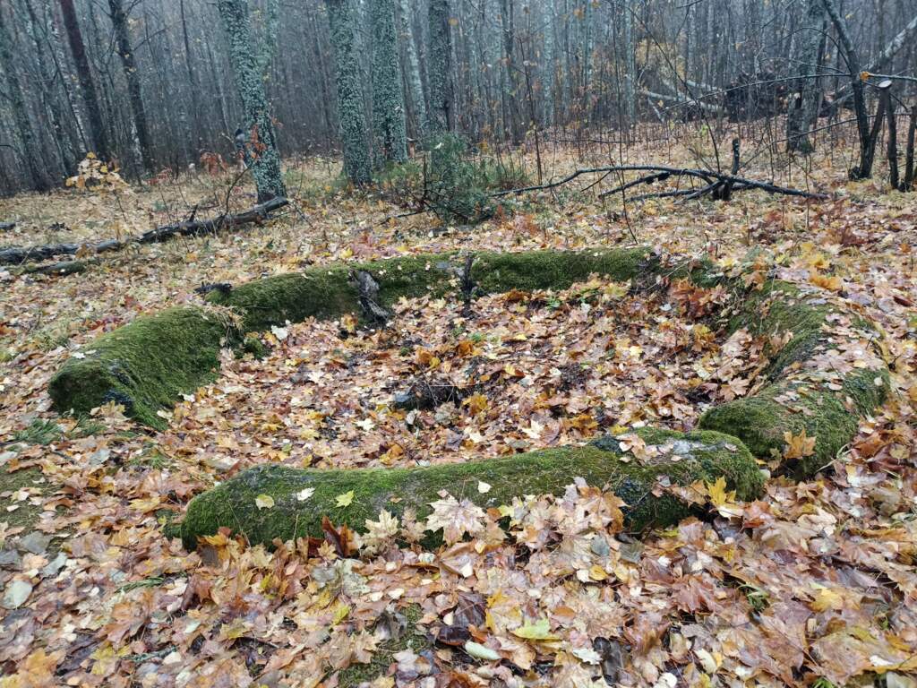 Прогулка ст.Ушково- ст.Рощино - фото