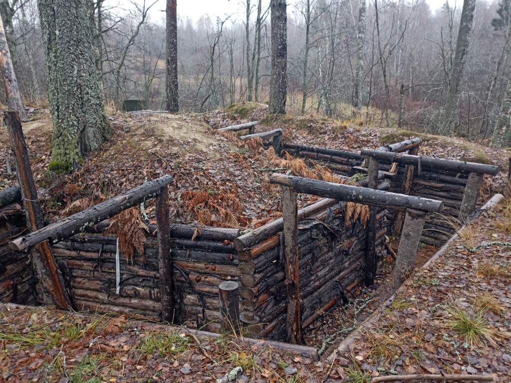 Прогулка ст.Ушково- ст.Рощино - фото