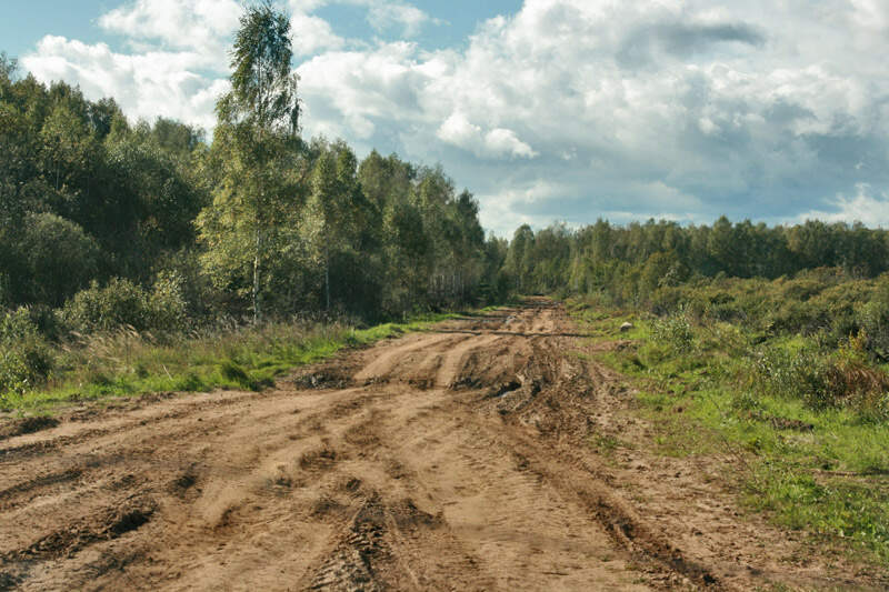 К шару в Ларцево - фото