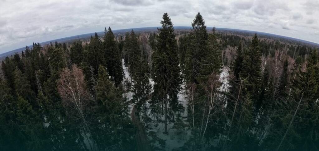 Большая Валдайская тропа - фото