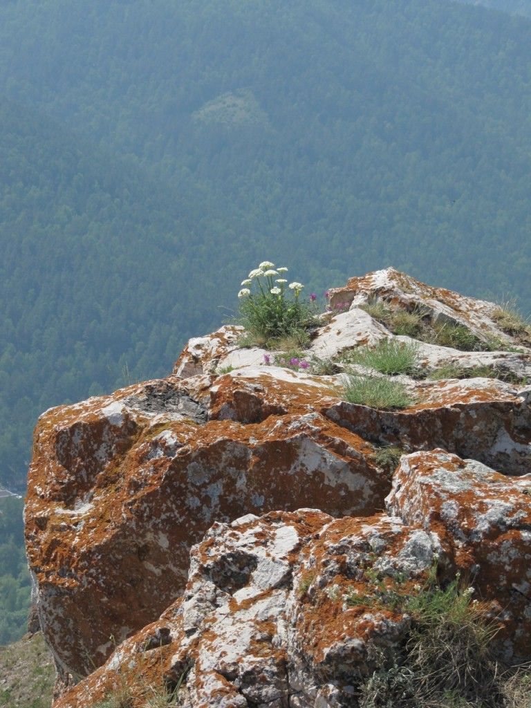 Скала красный гребень красноярск фото