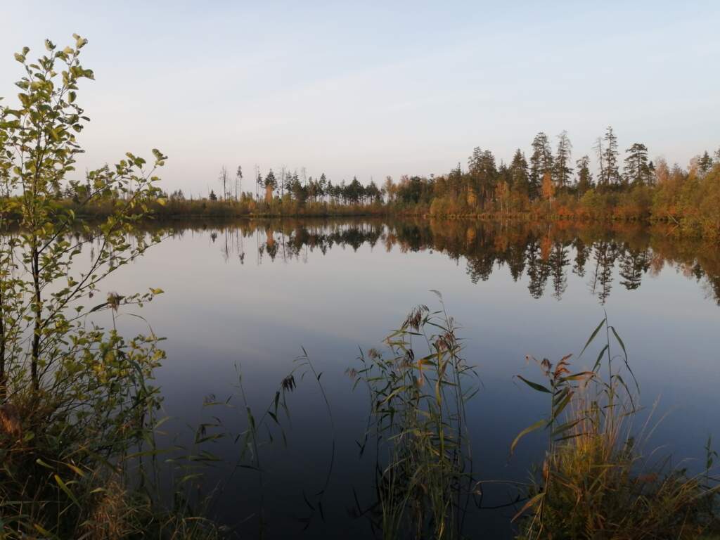 По Южским озерам в Ивановской области - фото
