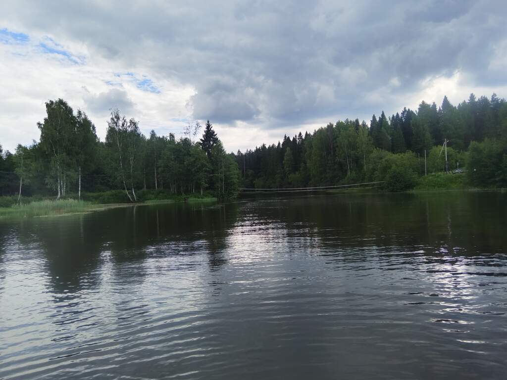 SUP BOARD, река Тихвинка от Галично. - фото