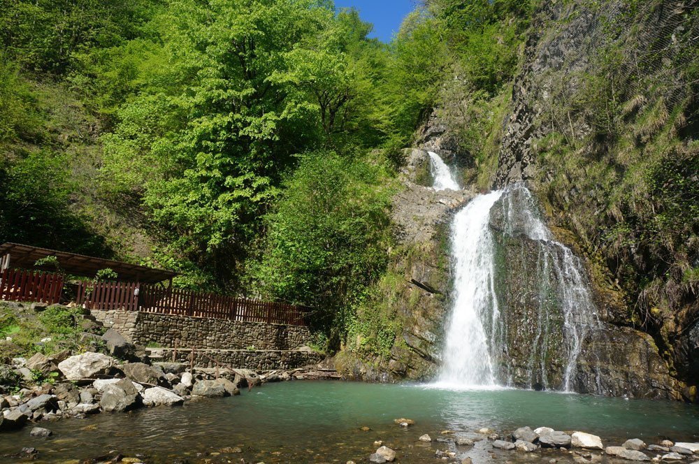 Треккинг в Сочи. Каникулы в субтропиках - фото