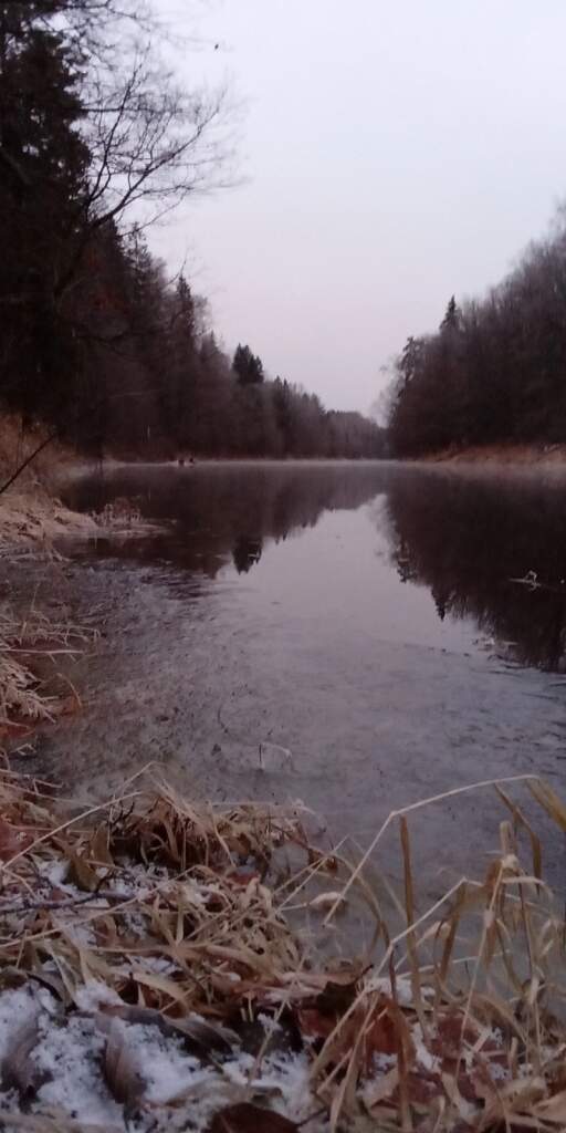 Левобережье Керженца от ст. Озеро до Быдреевки - фото