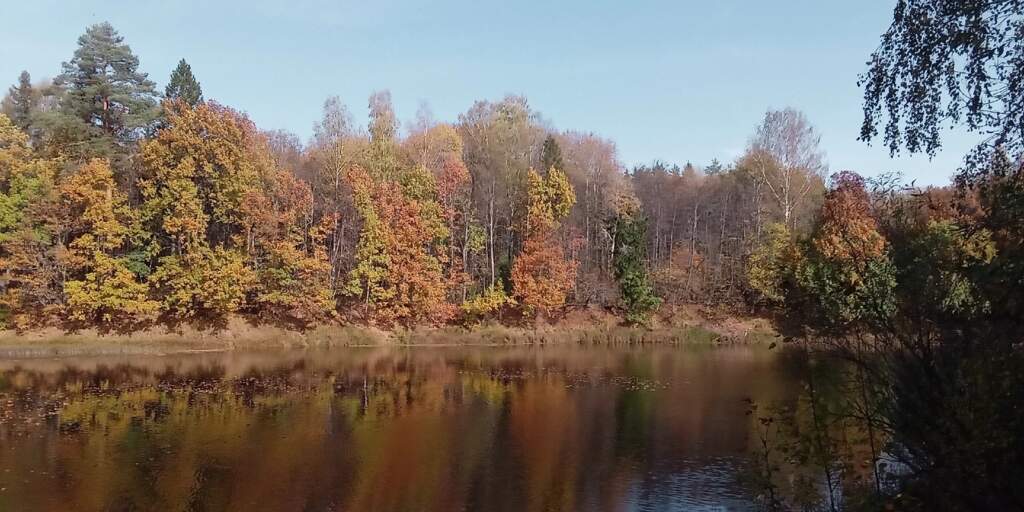 Левобережье Керженца от Быдреевки до Хахал - фото