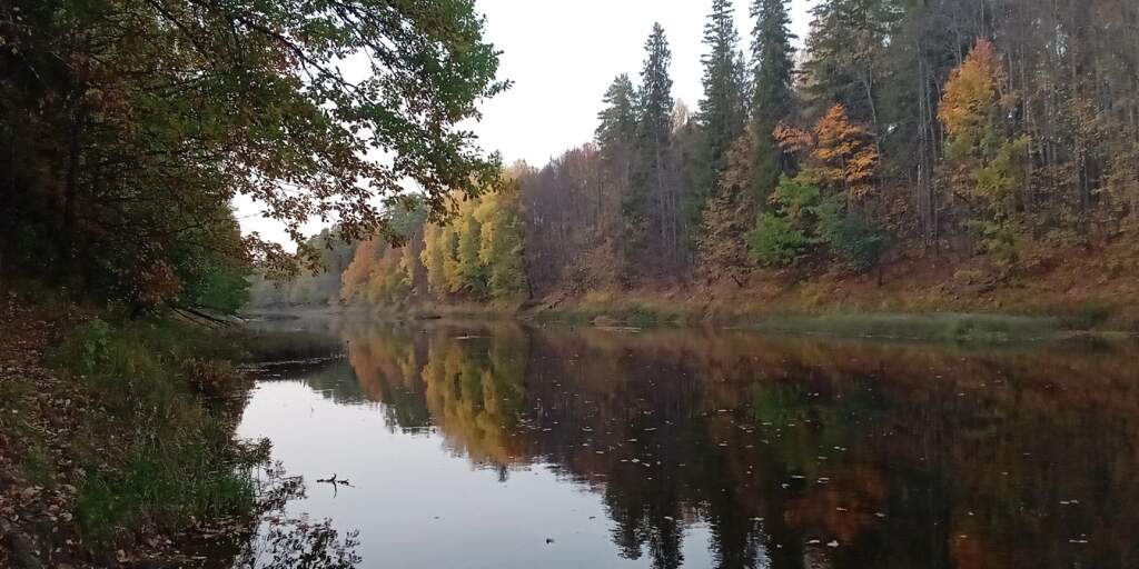 Левобережье Керженца от Быдреевки до Хахал - фото