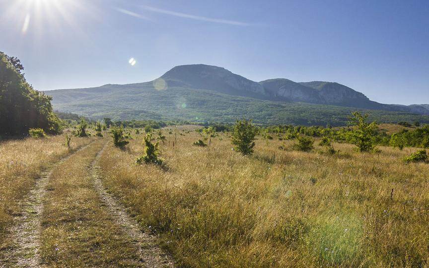 Соколиное — Богатырь - фото