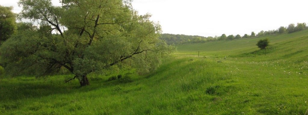 Боровск — Верея - фото