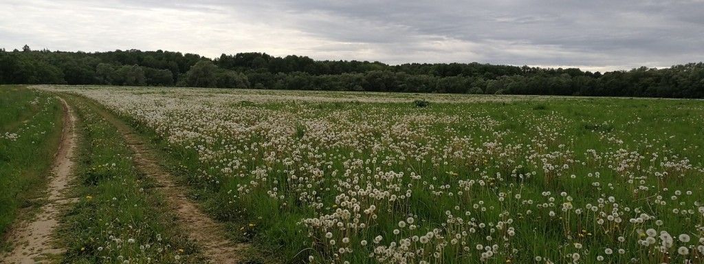 Боровск — Верея - фото