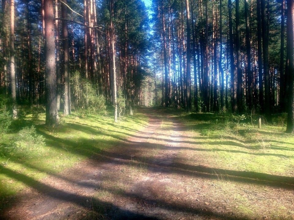 Большой Алольский круг - фото