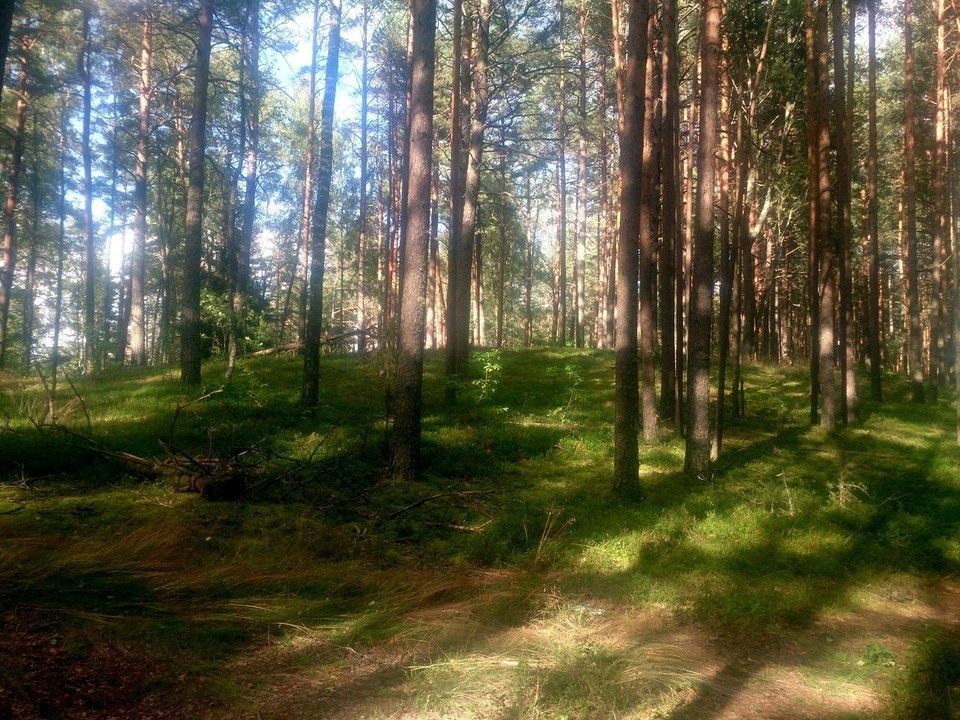 Большой Алольский круг - фото