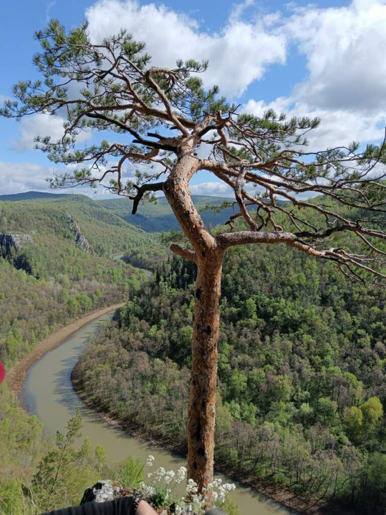 Сплав по реке Нугуш - фото