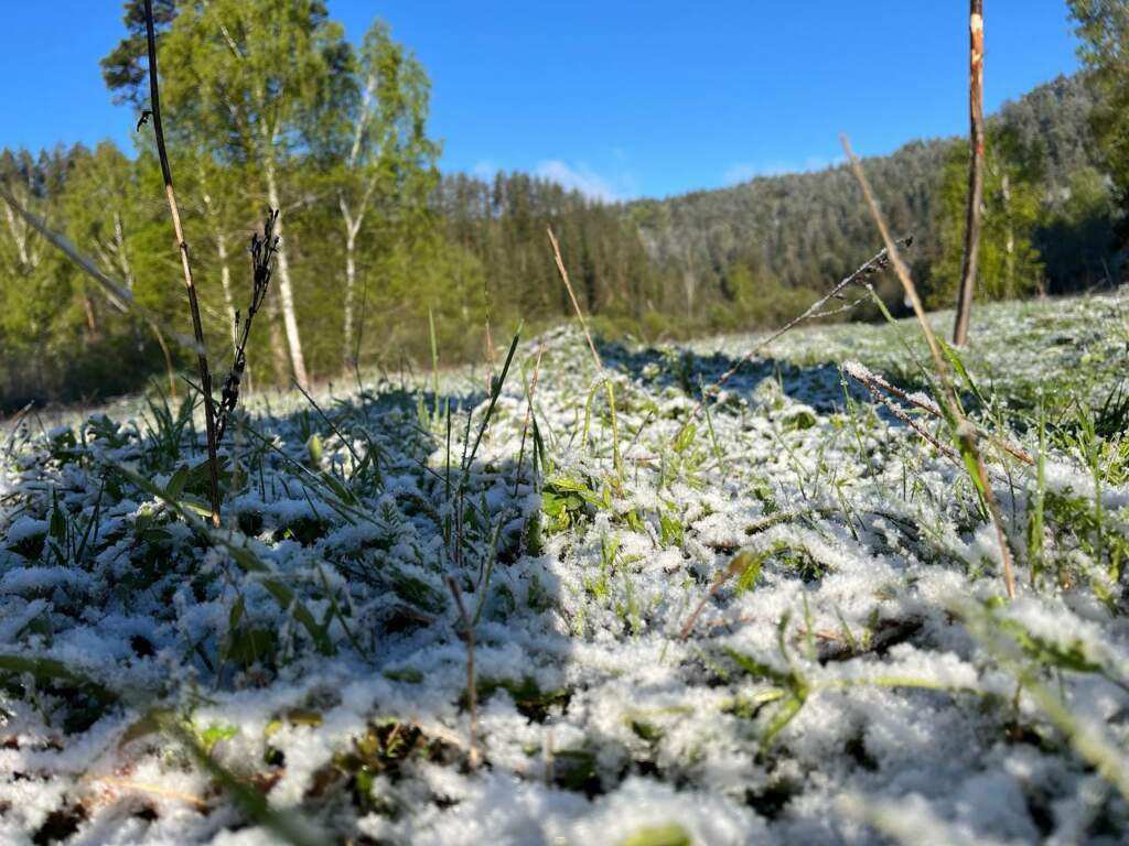 Сплав по реке Нугуш - фото