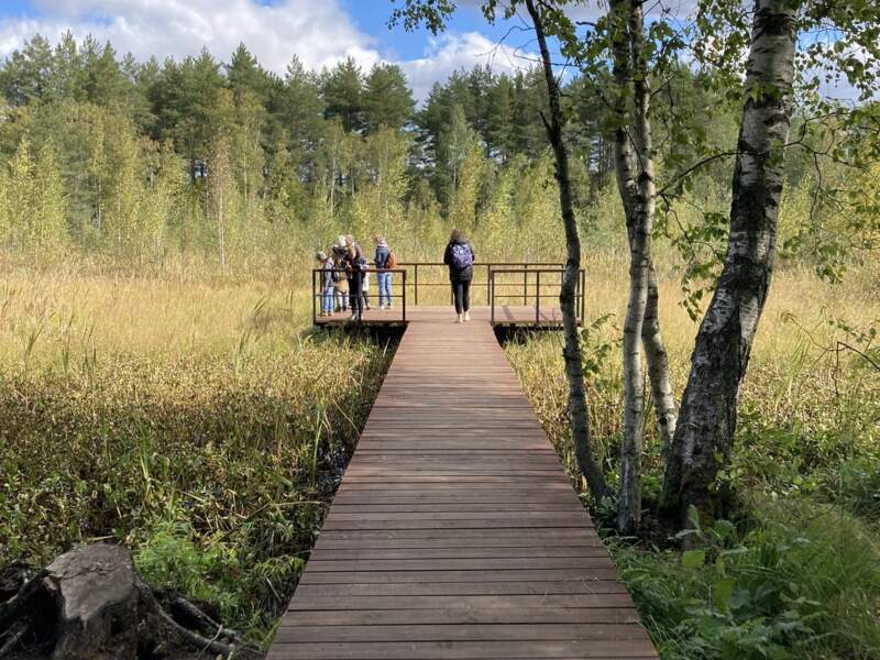 Экотропа «Водно-болотные угодья Сестрорецка» - фото