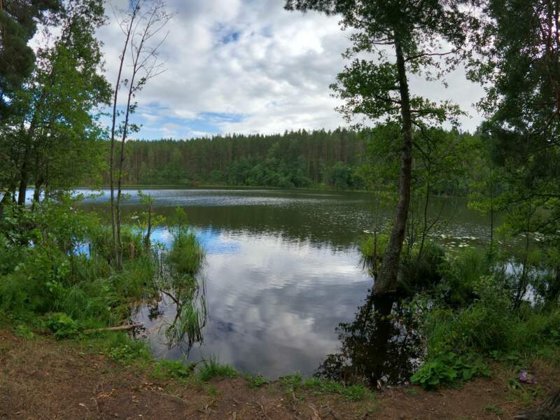 Озеро Берестовое - фото