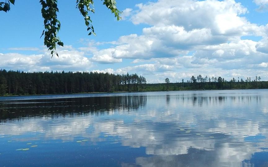 Шумновские озера (Тверская область) - фото
